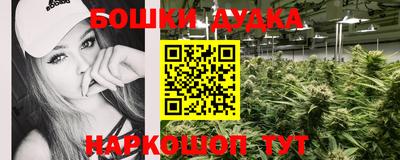 apvp Баксан