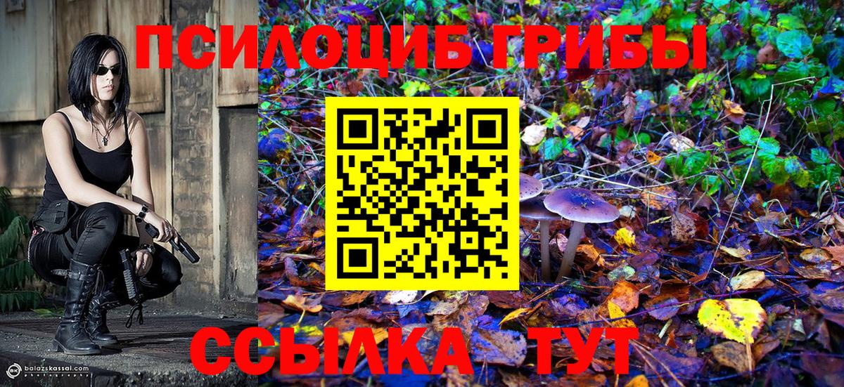 Архангельск  наркотики  Вход с VPN  Псилоцибиновые грибы мухоморы 